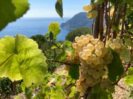 Villa Pietrafiore, agroturismo en Monterosso al Mare