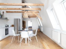 Beautiful Penthouse - City Center