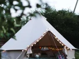 Wildberry glamping