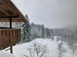 Planinarski dom Skrad