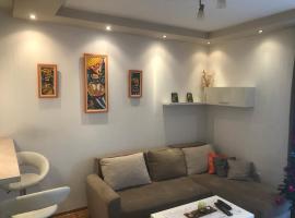 Apartman Stojanovic R, hotell sihtkohas Novi Sad