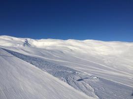 Voss- Myrkdalen Lodge, דירה בVossestrand