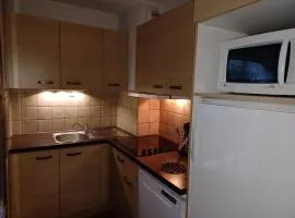 Brides Les Bains : Apt 8 pers, WIFI, Parking - FR-1-512-264