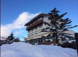 Mountside Jodel, hotel in Hakuba