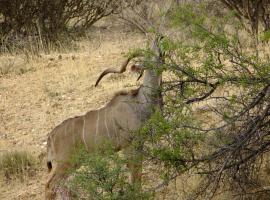 Desert Game Farm & Tented Lodge, Khomashochland, En Route to Sossusvlei, chata v destinaci Pionierspark