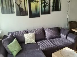 Appartement 7 101