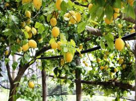 Poggio Angelarosa: Lemon Garden Stay&Relax, מלון ליד Valle delle Ferriere, סקאלה