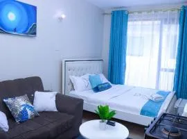 LaMeg2 Furnished Studio with Pool - Kiambu Rd