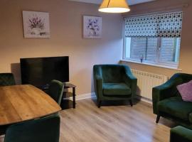 Small Town House, Barrow Lane, Bagenalstown, Carlow, apartment in Bagenalstown