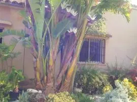 Arthouse Campos mit Haus Galeria 110qm und Appartementhaus mit Patio 30qm