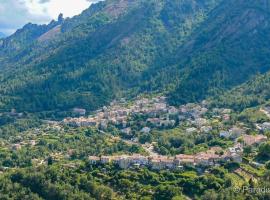 Studio Venaco Centre Corse, hotel em Venaco