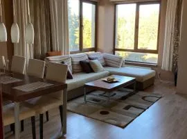 Апартамент за гости Свети Трифон