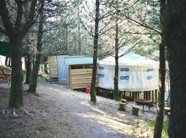 Mushroom Yurt, camping de luxe à Aberystwyth