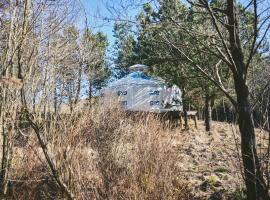 Elf Yurt - Yurtopia, glamping site in Aberystwyth