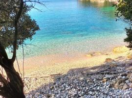 Villa Maria 1，帕萊歐卡斯提撒的寵物友善飯店