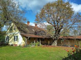 Mosti`s Häuschen am See, casa o chalet en Donnersdorf