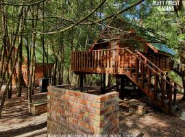 Plett Forest Cabins, hotel v destinaci Plettenberg Bay
