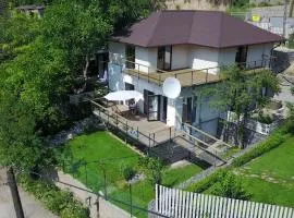 Alexa Mountain House