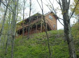 Glens of Antrim Mountain Cabin, pet-friendly hotel in Waynesville