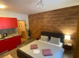 Terasy Apartmán se saunou