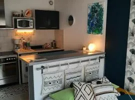 Appartement T1 Hyper Centre avec Balcon