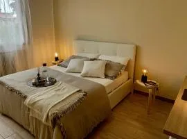 Gius' Apartment elegante vicino Ospedale Biella