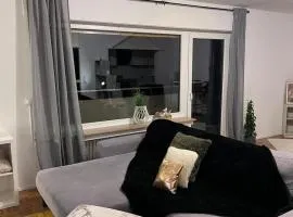 Zentral gelegenes Apartment - DSL, Küche, Balkon, Parkplatz