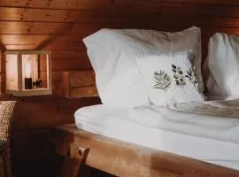 Skigebiete Stuhleck und Semmering,Wandergebiete Schneeberg und Rax