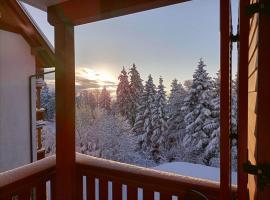 Luxury apartments Prežin, hotel Sleme Ski Lift környékén Hočko Pohorjéban