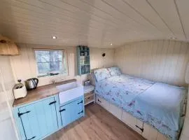 Delilah the shepherd's hut