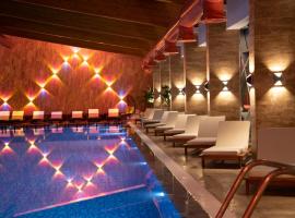 Hotel Borovi Forest Resort & Spa, ξενοδοχείο σε Sjenica