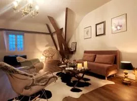 Grand appartement place Saint-Pierre, proche Château de Saumur et bord de Loire"