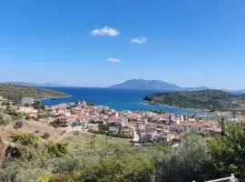 Nera's view