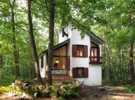 Tatehata House. Private Sauna. Outdoor Bath.