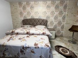 Viesnīca La Carmen 2 ! Apartament 1 camera! pilsētā Lupeni