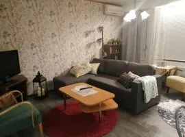 Rivitalokaksio Jäppilässä