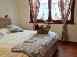 Charming apartment pool, SPA, sauna, CIR VDA - AYAS - 0005-, hotel con alberca en Champoluc