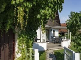 Ferienhaus Wila, cheap hotel in Wyhl