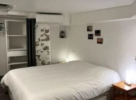 Appartement climatisé ALBI - Centre