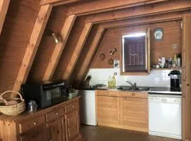 Chalet 3 pièces pour 6 personnes à La Joue du Loup, Proche Pistes et Commerces - FR-1-504-620