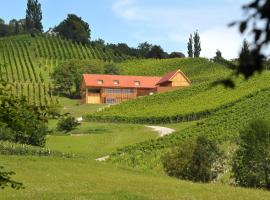 Vino Valdhuber Apartments, romantic hotel in Svečina