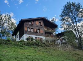 Chalet Carpe Diem, Hotel in Fieschertal