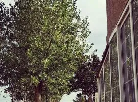 Agradable casa con jardín: Casasola
