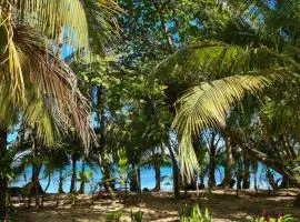 Drago Beach House - Private Beach