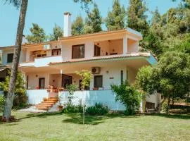 Forest house Near the sea