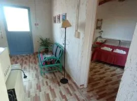 Montaña mendocina