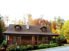 ER31 - Grandma And Granpaws Place - Great Location - Close to Parkway in PF cabin