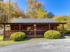 ER301 - Eagle's Hideaway - Great Location! Close To All The Action! cabin