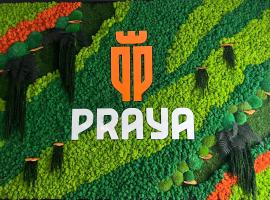 Praya Boutique, hotel u gradu 'Slatina'