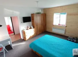 Cosy Apart Satu Mare